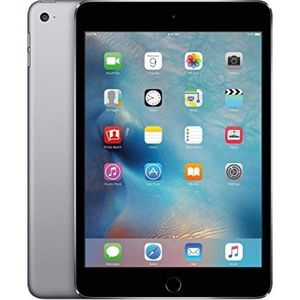 iPad Mini 2 Space Gray